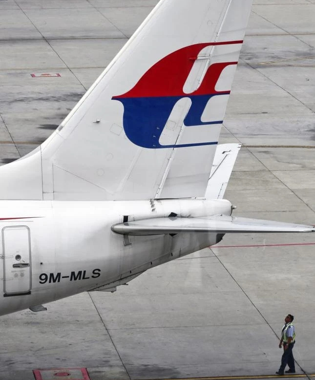 Trưởng nhóm điều tra máy bay rơi MH370 đưa ra tuyên bố kinh ngạc- Ảnh 1.